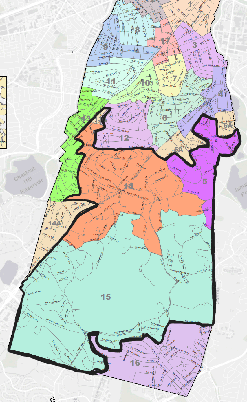 12th Middlesex District, Brookline